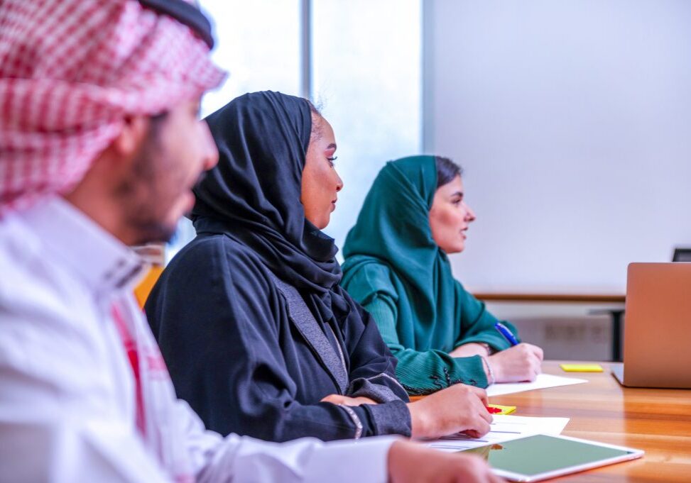 استكشاف الفرص في قطاع الطاقة المتجددة في المملكة العربية السعودية