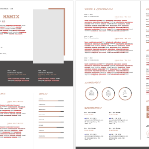 Medical Resume Editable Word Template - 2